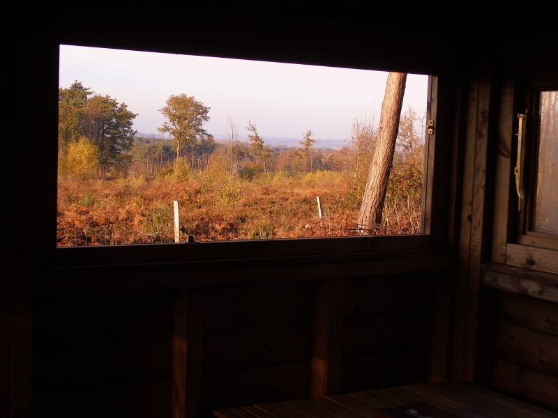 View from inside the bird hide